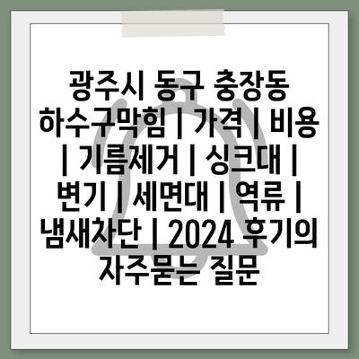 광주시 동구 충장동 하수구막힘 | 가격 | 비용 | 기름제거 | 싱크대 | 변기 | 세면대 | 역류 | 냄새차단 | 2024 후기