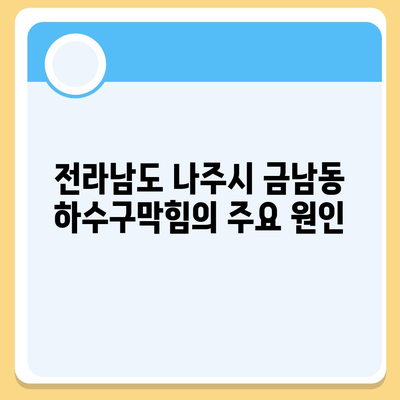 전라남도 나주시 금남동 하수구막힘 | 가격 | 비용 | 기름제거 | 싱크대 | 변기 | 세면대 | 역류 | 냄새차단 | 2024 후기