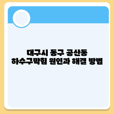 대구시 동구 공산동 하수구막힘 | 가격 | 비용 | 기름제거 | 싱크대 | 변기 | 세면대 | 역류 | 냄새차단 | 2024 후기