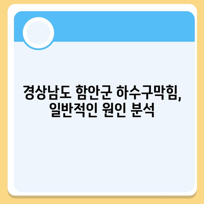 경상남도 함안군 함안면 하수구막힘 | 가격 | 비용 | 기름제거 | 싱크대 | 변기 | 세면대 | 역류 | 냄새차단 | 2024 후기