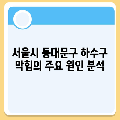 서울시 동대문구 답십리제2동 하수구막힘 | 가격 | 비용 | 기름제거 | 싱크대 | 변기 | 세면대 | 역류 | 냄새차단 | 2024 후기