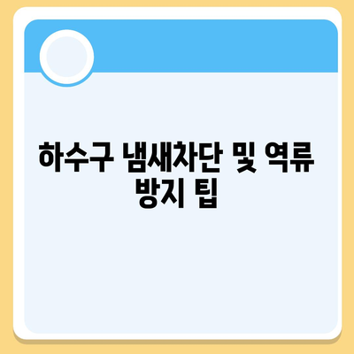 강원도 속초시 영랑동 하수구막힘 | 가격 | 비용 | 기름제거 | 싱크대 | 변기 | 세면대 | 역류 | 냄새차단 | 2024 후기