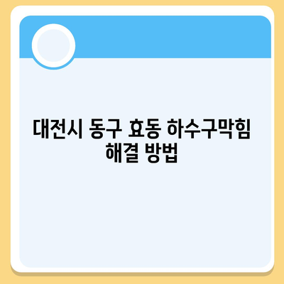 대전시 동구 효동 하수구막힘 | 가격 | 비용 | 기름제거 | 싱크대 | 변기 | 세면대 | 역류 | 냄새차단 | 2024 후기