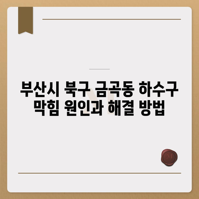 부산시 북구 금곡동 하수구막힘 | 가격 | 비용 | 기름제거 | 싱크대 | 변기 | 세면대 | 역류 | 냄새차단 | 2024 후기