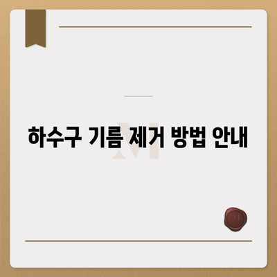 전라북도 임실군 강진면 하수구막힘 | 가격 | 비용 | 기름제거 | 싱크대 | 변기 | 세면대 | 역류 | 냄새차단 | 2024 후기