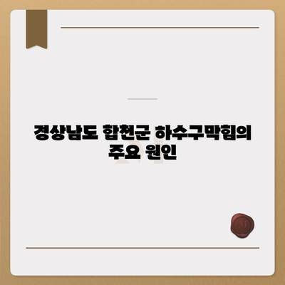 경상남도 합천군 청덕면 하수구막힘 | 가격 | 비용 | 기름제거 | 싱크대 | 변기 | 세면대 | 역류 | 냄새차단 | 2024 후기