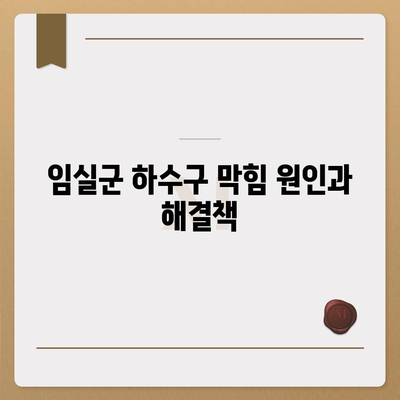 전라북도 임실군 성수면 하수구막힘 | 가격 | 비용 | 기름제거 | 싱크대 | 변기 | 세면대 | 역류 | 냄새차단 | 2024 후기