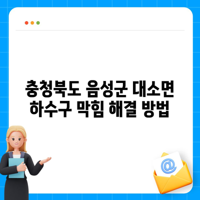 충청북도 음성군 대소면 하수구막힘 | 가격 | 비용 | 기름제거 | 싱크대 | 변기 | 세면대 | 역류 | 냄새차단 | 2024 후기