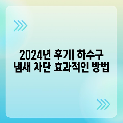 제주도 제주시 이호동 하수구막힘 | 가격 | 비용 | 기름제거 | 싱크대 | 변기 | 세면대 | 역류 | 냄새차단 | 2024 후기