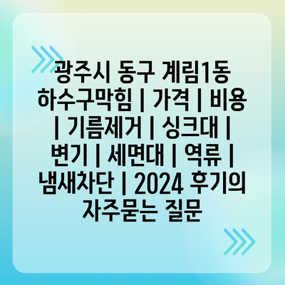 광주시 동구 계림1동 하수구막힘 | 가격 | 비용 | 기름제거 | 싱크대 | 변기 | 세면대 | 역류 | 냄새차단 | 2024 후기