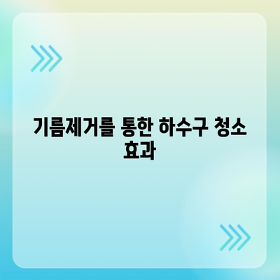 대전시 동구 용전동 하수구막힘 | 가격 | 비용 | 기름제거 | 싱크대 | 변기 | 세면대 | 역류 | 냄새차단 | 2024 후기