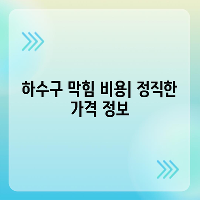 전라북도 정읍시 상교동 하수구막힘 | 가격 | 비용 | 기름제거 | 싱크대 | 변기 | 세면대 | 역류 | 냄새차단 | 2024 후기