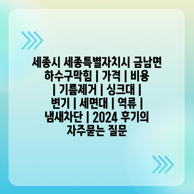 세종시 세종특별자치시 금남면 하수구막힘 | 가격 | 비용 | 기름제거 | 싱크대 | 변기 | 세면대 | 역류 | 냄새차단 | 2024 후기