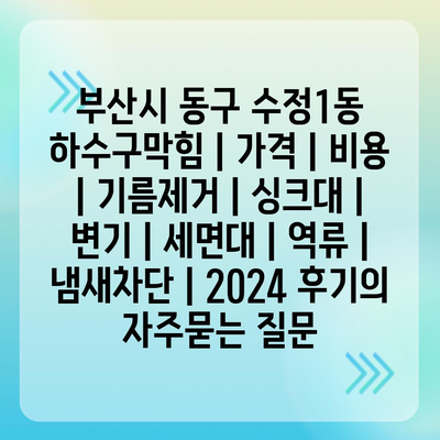 부산시 동구 수정1동 하수구막힘 | 가격 | 비용 | 기름제거 | 싱크대 | 변기 | 세면대 | 역류 | 냄새차단 | 2024 후기