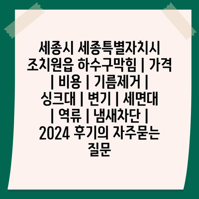 세종시 세종특별자치시 조치원읍 하수구막힘 | 가격 | 비용 | 기름제거 | 싱크대 | 변기 | 세면대 | 역류 | 냄새차단 | 2024 후기