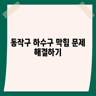 서울시 동작구 노량진제1동 하수구막힘 | 가격 | 비용 | 기름제거 | 싱크대 | 변기 | 세면대 | 역류 | 냄새차단 | 2024 후기