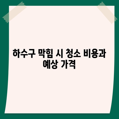 인천시 강화군 송해면 하수구막힘 | 가격 | 비용 | 기름제거 | 싱크대 | 변기 | 세면대 | 역류 | 냄새차단 | 2024 후기