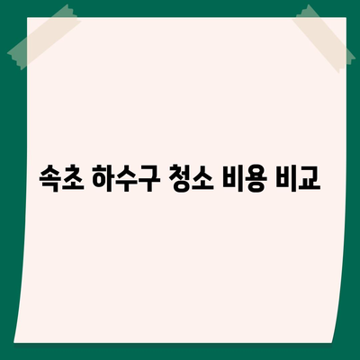 강원도 속초시 노학동 하수구막힘 | 가격 | 비용 | 기름제거 | 싱크대 | 변기 | 세면대 | 역류 | 냄새차단 | 2024 후기