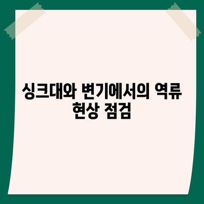 대전시 서구 용문동 하수구막힘 | 가격 | 비용 | 기름제거 | 싱크대 | 변기 | 세면대 | 역류 | 냄새차단 | 2024 후기