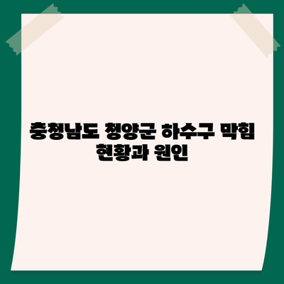 충청남도 청양군 비봉면 하수구막힘 | 가격 | 비용 | 기름제거 | 싱크대 | 변기 | 세면대 | 역류 | 냄새차단 | 2024 후기