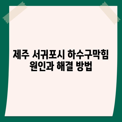 제주도 서귀포시 성산읍 하수구막힘 | 가격 | 비용 | 기름제거 | 싱크대 | 변기 | 세면대 | 역류 | 냄새차단 | 2024 후기