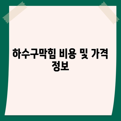 대전시 유성구 노은1동 하수구막힘 | 가격 | 비용 | 기름제거 | 싱크대 | 변기 | 세면대 | 역류 | 냄새차단 | 2024 후기