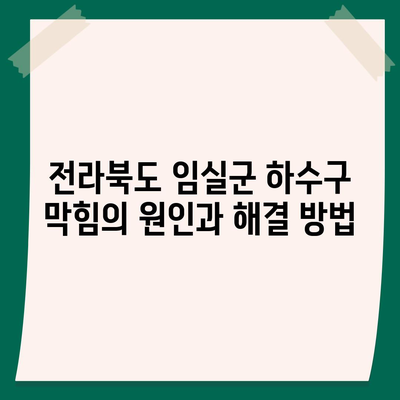 전라북도 임실군 신덕면 하수구막힘 | 가격 | 비용 | 기름제거 | 싱크대 | 변기 | 세면대 | 역류 | 냄새차단 | 2024 후기