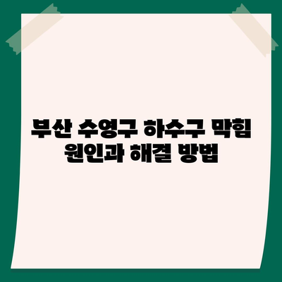 부산시 수영구 수영동 하수구막힘 | 가격 | 비용 | 기름제거 | 싱크대 | 변기 | 세면대 | 역류 | 냄새차단 | 2024 후기