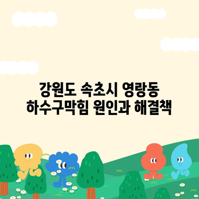 강원도 속초시 영랑동 하수구막힘 | 가격 | 비용 | 기름제거 | 싱크대 | 변기 | 세면대 | 역류 | 냄새차단 | 2024 후기