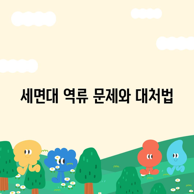 서울시 강서구 등촌제1동 하수구막힘 | 가격 | 비용 | 기름제거 | 싱크대 | 변기 | 세면대 | 역류 | 냄새차단 | 2024 후기