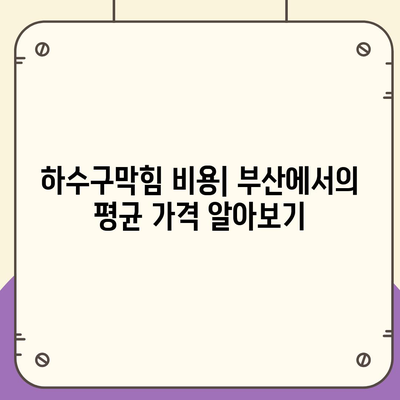 부산시 부산진구 가야2동 하수구막힘 | 가격 | 비용 | 기름제거 | 싱크대 | 변기 | 세면대 | 역류 | 냄새차단 | 2024 후기