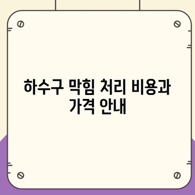 전라남도 장성군 황룡면 하수구막힘 | 가격 | 비용 | 기름제거 | 싱크대 | 변기 | 세면대 | 역류 | 냄새차단 | 2024 후기