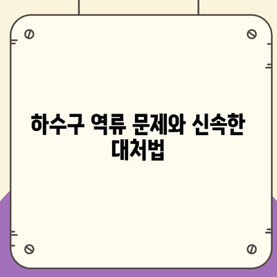 대구시 중구 대봉2동 하수구막힘 | 가격 | 비용 | 기름제거 | 싱크대 | 변기 | 세면대 | 역류 | 냄새차단 | 2024 후기