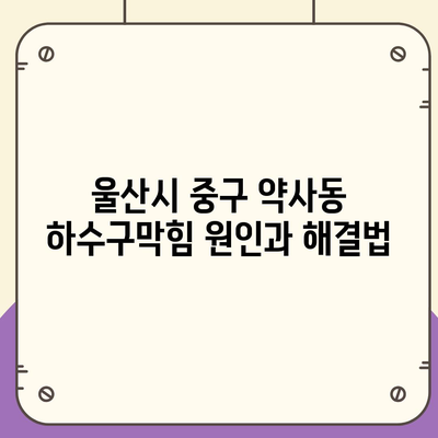 울산시 중구 약사동 하수구막힘 | 가격 | 비용 | 기름제거 | 싱크대 | 변기 | 세면대 | 역류 | 냄새차단 | 2024 후기