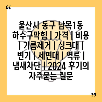 울산시 동구 남목1동 하수구막힘 | 가격 | 비용 | 기름제거 | 싱크대 | 변기 | 세면대 | 역류 | 냄새차단 | 2024 후기