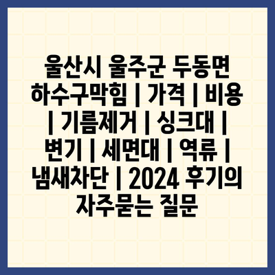 울산시 울주군 두동면 하수구막힘 | 가격 | 비용 | 기름제거 | 싱크대 | 변기 | 세면대 | 역류 | 냄새차단 | 2024 후기