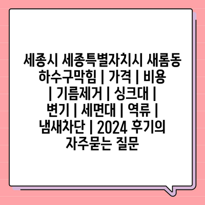 세종시 세종특별자치시 새롬동 하수구막힘 | 가격 | 비용 | 기름제거 | 싱크대 | 변기 | 세면대 | 역류 | 냄새차단 | 2024 후기