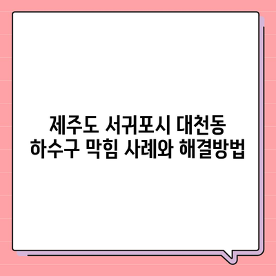 제주도 서귀포시 대천동 하수구막힘 | 가격 | 비용 | 기름제거 | 싱크대 | 변기 | 세면대 | 역류 | 냄새차단 | 2024 후기