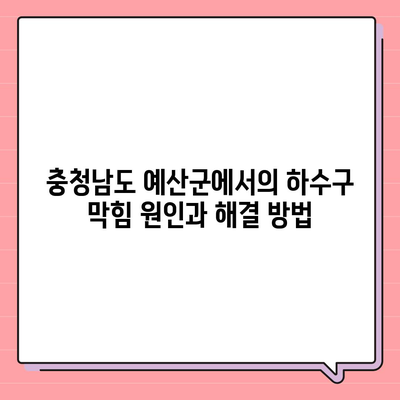 충청남도 예산군 오가면 하수구막힘 | 가격 | 비용 | 기름제거 | 싱크대 | 변기 | 세면대 | 역류 | 냄새차단 | 2024 후기