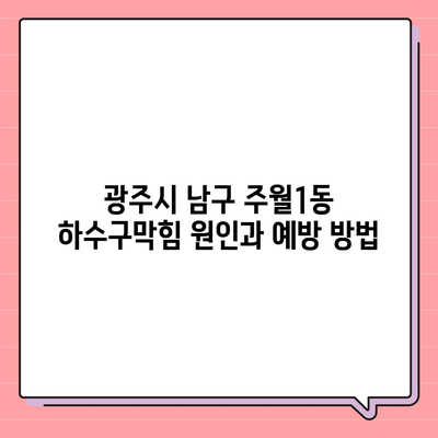 광주시 남구 주월1동 하수구막힘 | 가격 | 비용 | 기름제거 | 싱크대 | 변기 | 세면대 | 역류 | 냄새차단 | 2024 후기