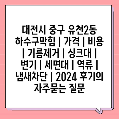 대전시 중구 유천2동 하수구막힘 | 가격 | 비용 | 기름제거 | 싱크대 | 변기 | 세면대 | 역류 | 냄새차단 | 2024 후기