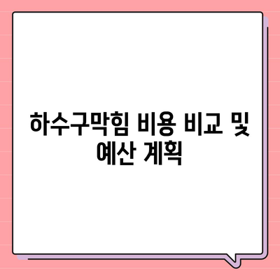 제주도 제주시 이도2동 하수구막힘 | 가격 | 비용 | 기름제거 | 싱크대 | 변기 | 세면대 | 역류 | 냄새차단 | 2024 후기