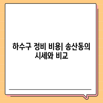 제주도 서귀포시 송산동 하수구막힘 | 가격 | 비용 | 기름제거 | 싱크대 | 변기 | 세면대 | 역류 | 냄새차단 | 2024 후기