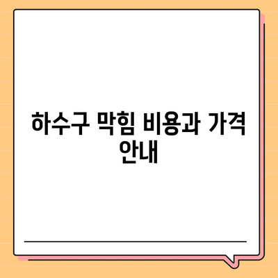 대전시 서구 월평1동 하수구막힘 | 가격 | 비용 | 기름제거 | 싱크대 | 변기 | 세면대 | 역류 | 냄새차단 | 2024 후기