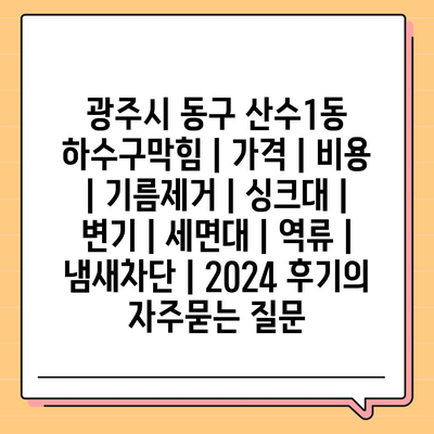 광주시 동구 산수1동 하수구막힘 | 가격 | 비용 | 기름제거 | 싱크대 | 변기 | 세면대 | 역류 | 냄새차단 | 2024 후기