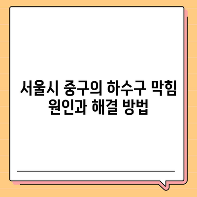 서울시 중구 회현동 하수구막힘 | 가격 | 비용 | 기름제거 | 싱크대 | 변기 | 세면대 | 역류 | 냄새차단 | 2024 후기