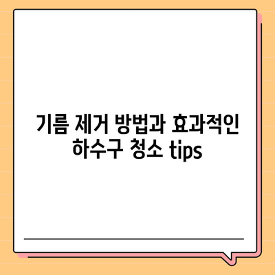 서울시 동대문구 답십리제2동 하수구막힘 | 가격 | 비용 | 기름제거 | 싱크대 | 변기 | 세면대 | 역류 | 냄새차단 | 2024 후기