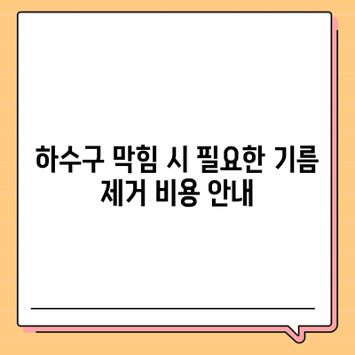 충청북도 옥천군 동이면 하수구막힘 | 가격 | 비용 | 기름제거 | 싱크대 | 변기 | 세면대 | 역류 | 냄새차단 | 2024 후기