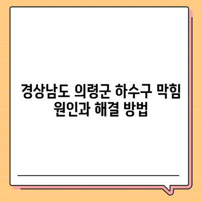 경상남도 의령군 지정면 하수구막힘 | 가격 | 비용 | 기름제거 | 싱크대 | 변기 | 세면대 | 역류 | 냄새차단 | 2024 후기