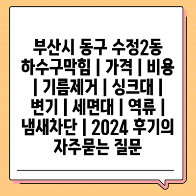 부산시 동구 수정2동 하수구막힘 | 가격 | 비용 | 기름제거 | 싱크대 | 변기 | 세면대 | 역류 | 냄새차단 | 2024 후기